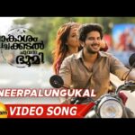 Neerpalungukal Song