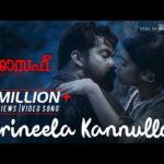 Karineela Kannulla Song