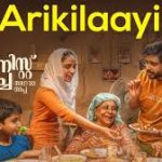 Arikilaayi Song